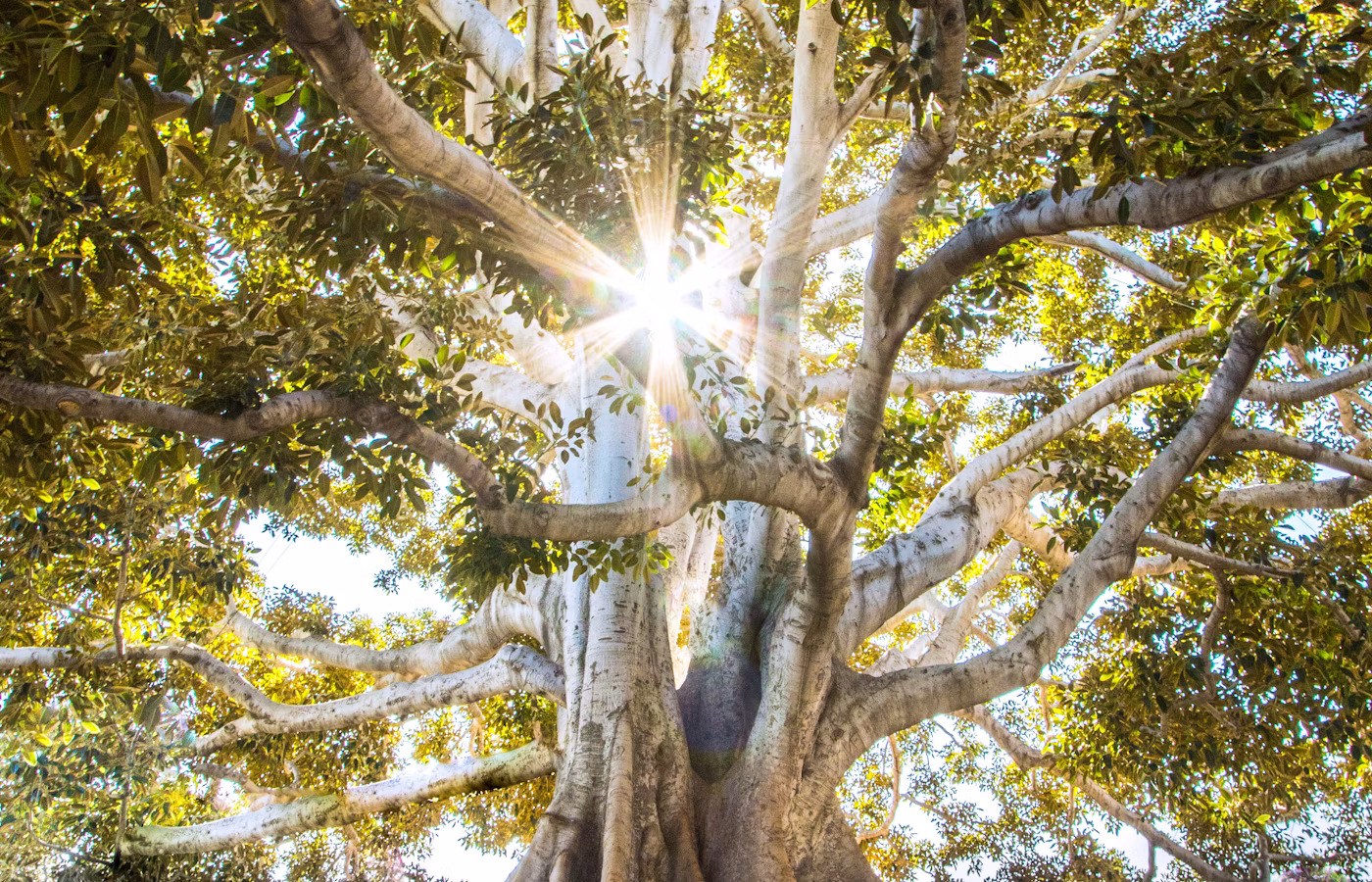 Телесная осознанность онлайн в Краснодар